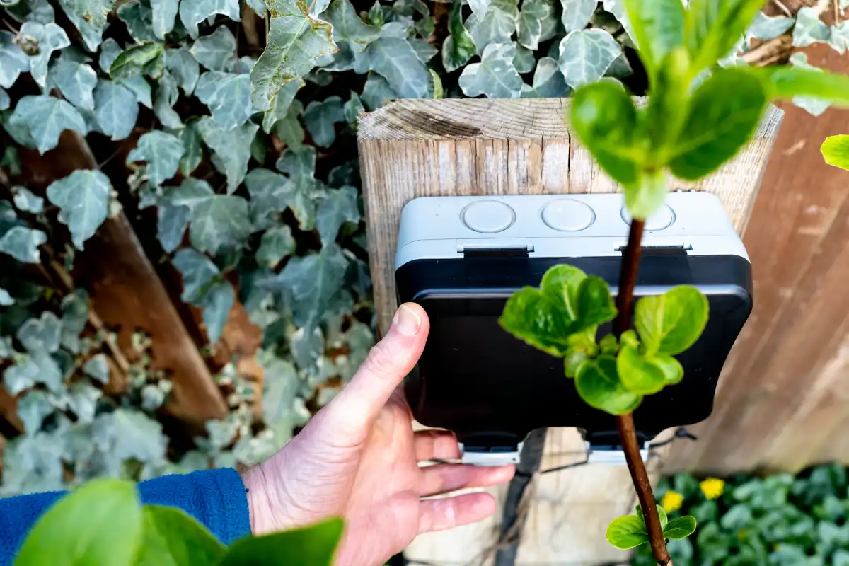 Newly installed outdoor electrical sockets